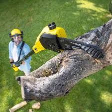 Best Lawn Pest Prevention  in Byram Center, NJ